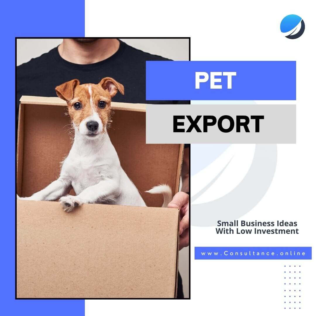 77+ Best Business Ideas in Pakistan with Small Investment 2022